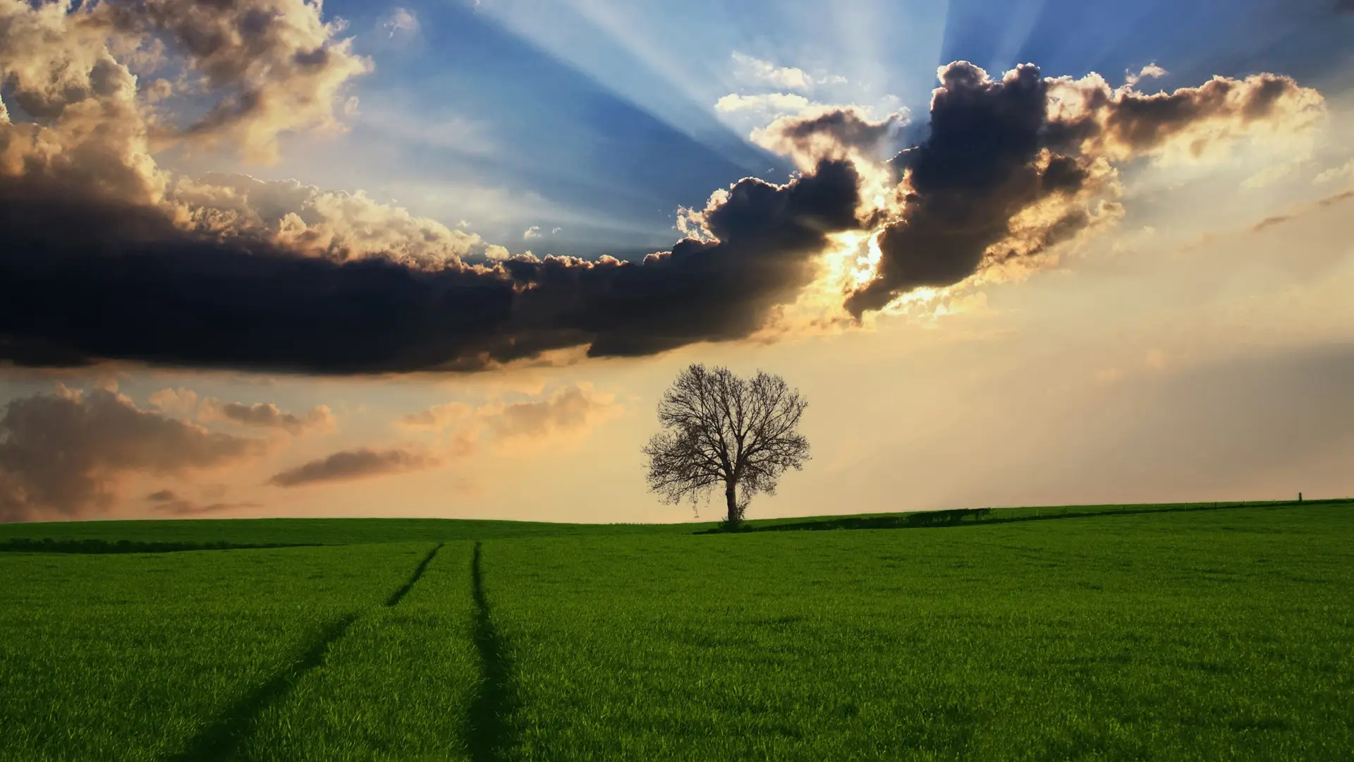 Python初学易犯错点